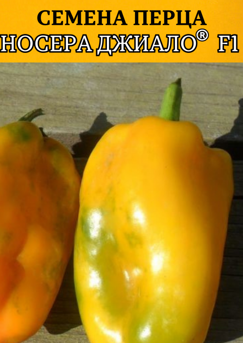 Носера Джиалло 10 грамм семена сладкого перца