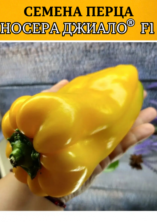 Носера Джиалло 10 грамм семена сладкого перца