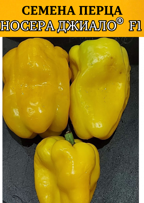 Носера Джиалло 10 грамм семена сладкого перца