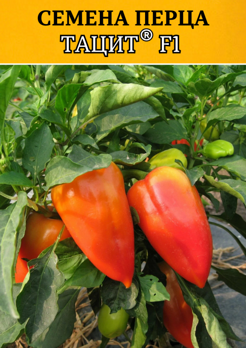 Тацит F1 семена перца