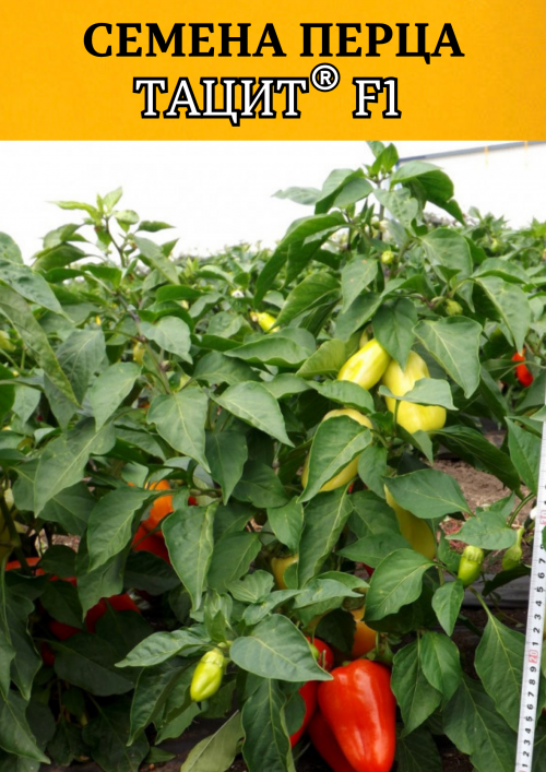 Тацит F1 семена перца