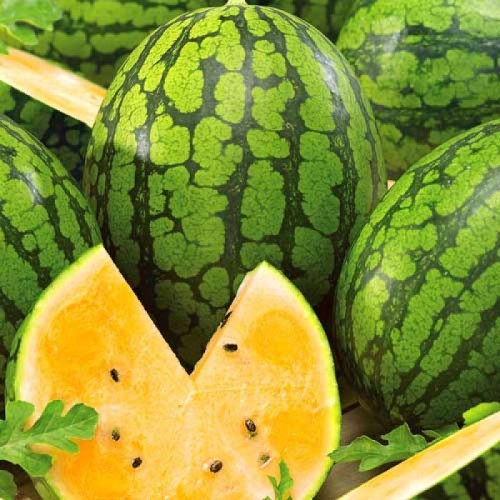 Оранж кинг F1 семена арбуза