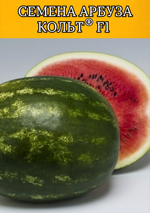 Кольт F1 семена арбуза
