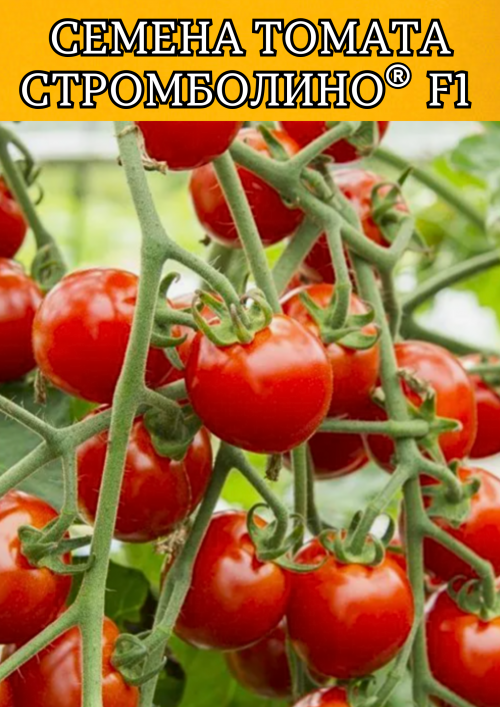 Стромболино F1 1000 штук семена томата-черри