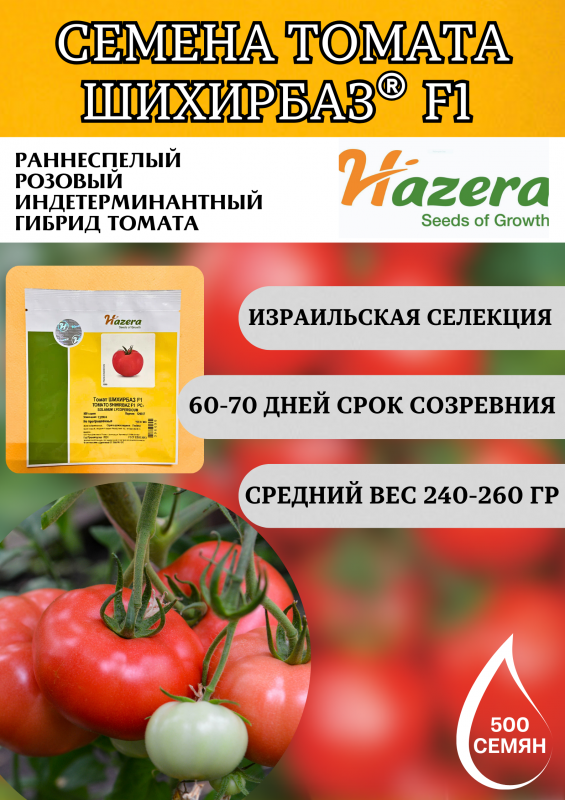 Шихирбаз F1 500 штук семена томата