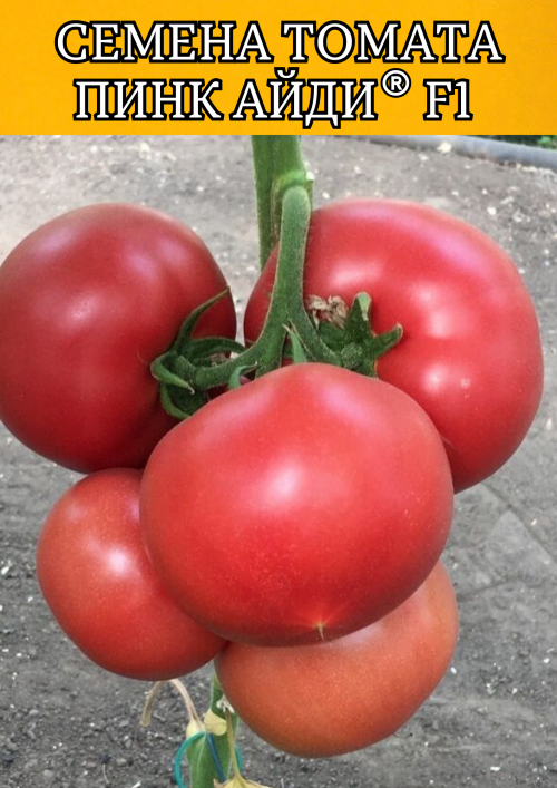 Пинк Айди F1 семена томата