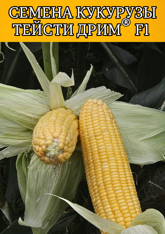 Тейсти дрим F1 5000 штук семена сахарной кукурузы