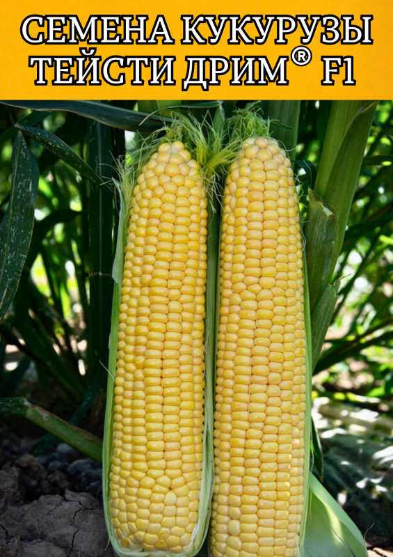 Тейсти дрим F1 5000 штук семена сахарной кукурузы