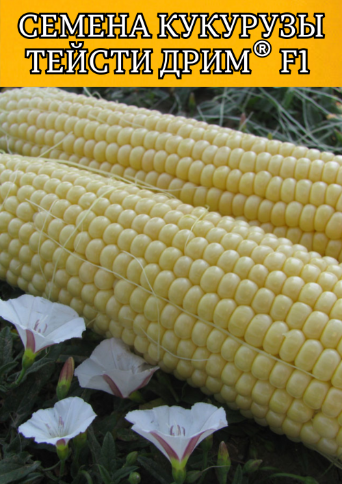 Тейсти дрим F1 5000 штук семена сахарной кукурузы