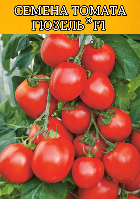 Гюзель F1 семена томата