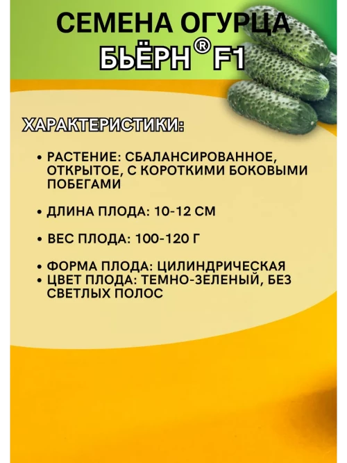 Бьерн F1 1000 штук семена огурца корнишона раннего