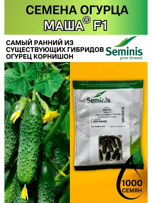 Маша F1 1000 штук семена огурца корнишона раннего