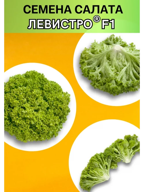 Левистро  (драже) семена салата