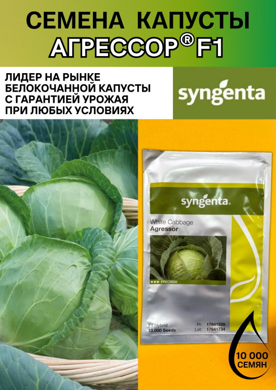Агрессор F1 семена капусты белокочанной