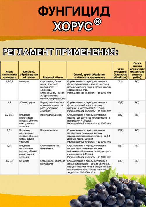 Хорус, ВДГ 50 грамм фунгицид для плодовых и винограда