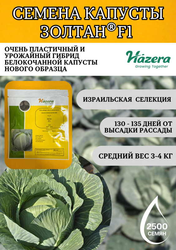 Золтан F1 2500 штук семена капусты белокочанной