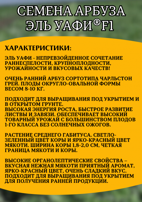 Эль Уафи F1 семена арбуза