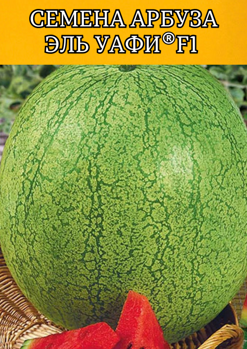 Эль Уафи F1 семена арбуза
