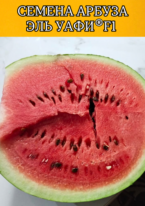 Эль Уафи F1 семена арбуза