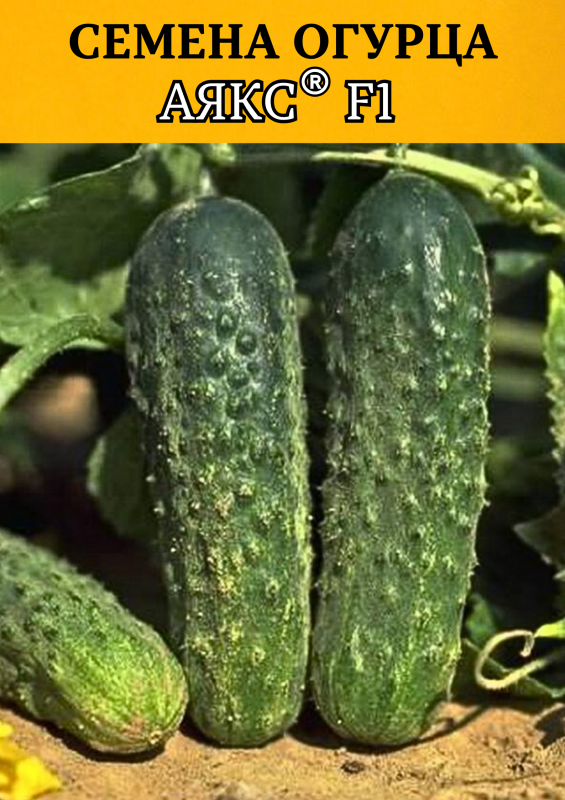 Аякс F1 1000 штук семена огурца