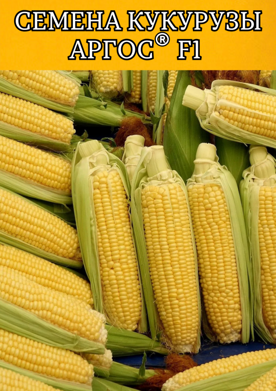 Аргос F1 2500 штук семена сахарной кукурузы