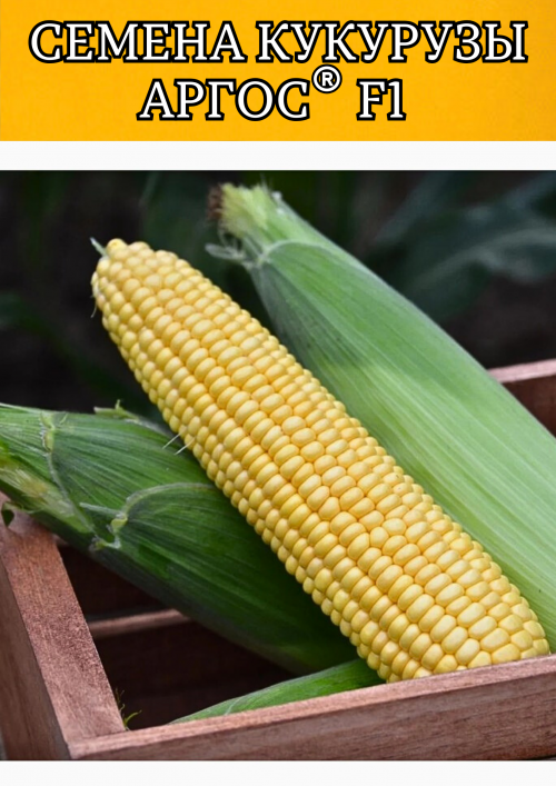 Аргос F1 2500 штук семена сахарной кукурузы