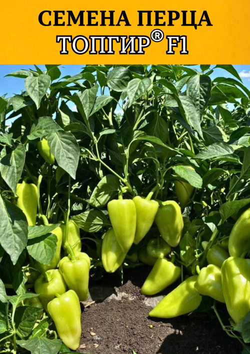 Топгир F1 семена сладкого перца