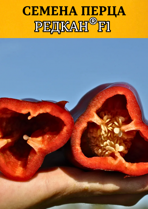 Редкан F1 семена сладкого перца