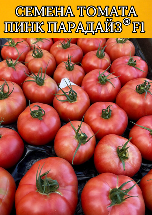 Пинк Парадайз F1 50 штук семена розового томата