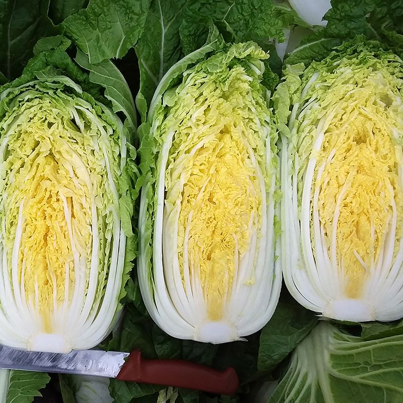 Натсуки F1 1000 штук семена пекинской капусты