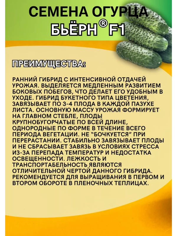 Бьерн F1 семена огурца корнишона раннего