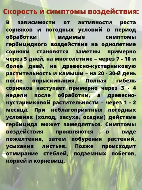 Торнадо 540, ВР  средство от сорняков