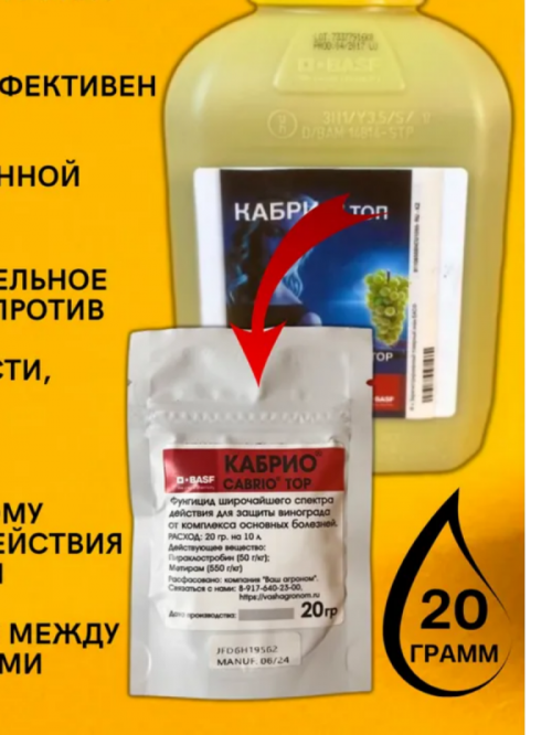 Кабрио топ фунгицид для винограда