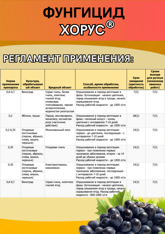 Хорус, ВДГ фунгицид для плодовых и винограда