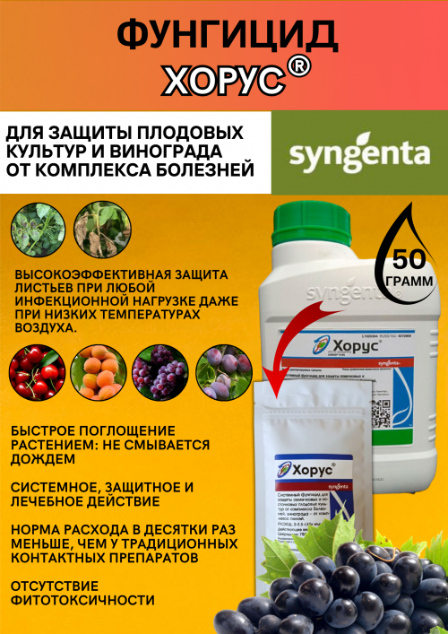 Хорус, ВДГ фунгицид для плодовых и винограда