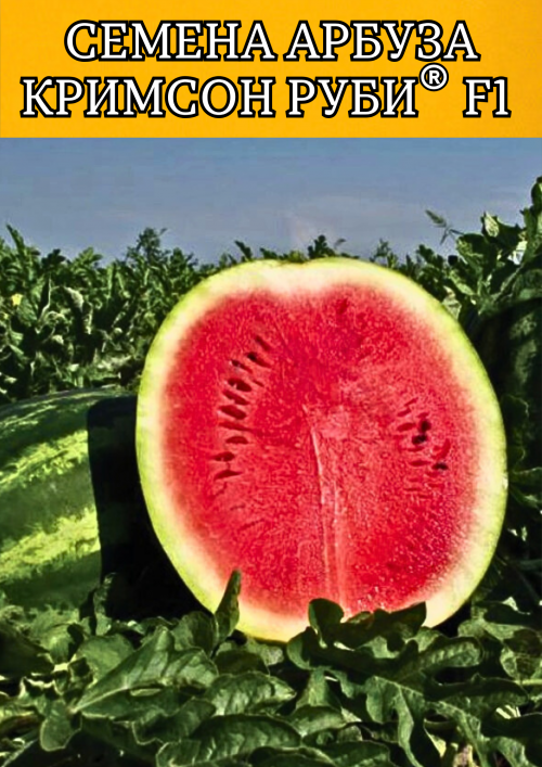 Кримсон Руби F1 семена арбуза