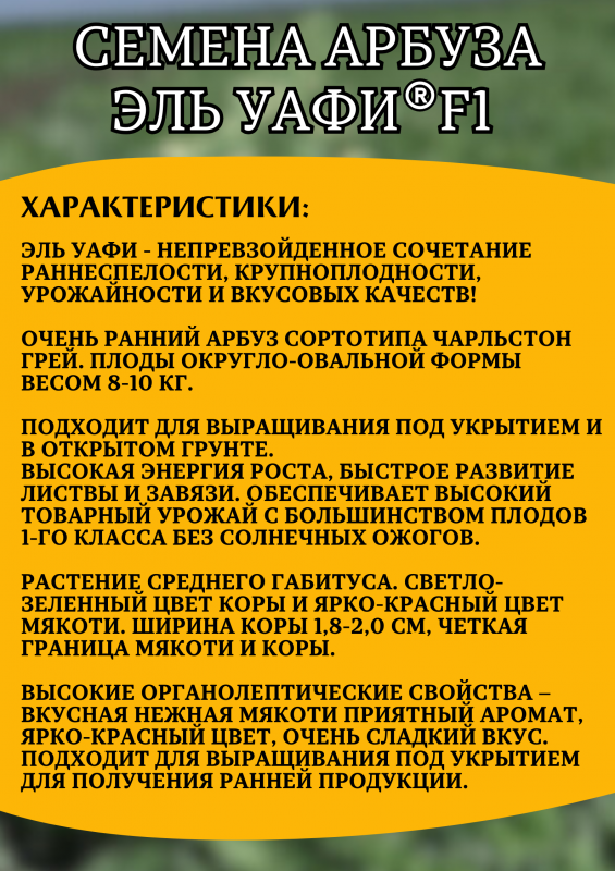 Эль Уафи F1 семена арбуза