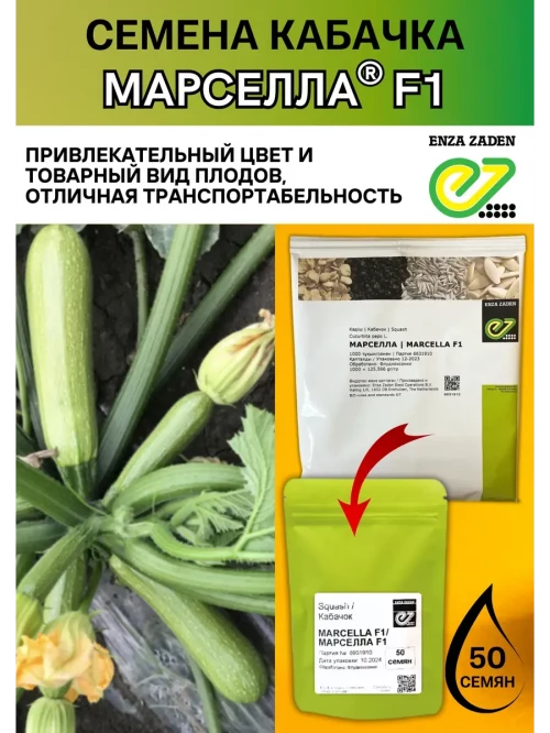Марселла F1 семена кабачка