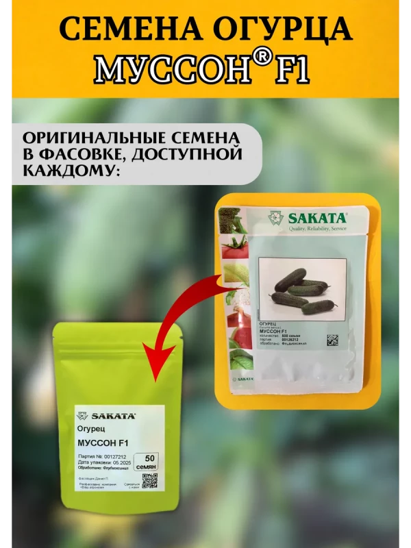 Муссон F1 семена огурца