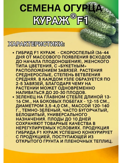 Кураж F1 семена огурца корнишона