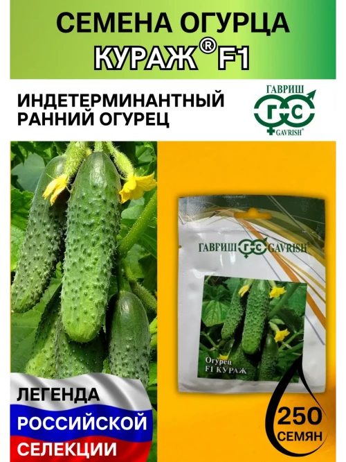 Кураж F1 семена огурца корнишона