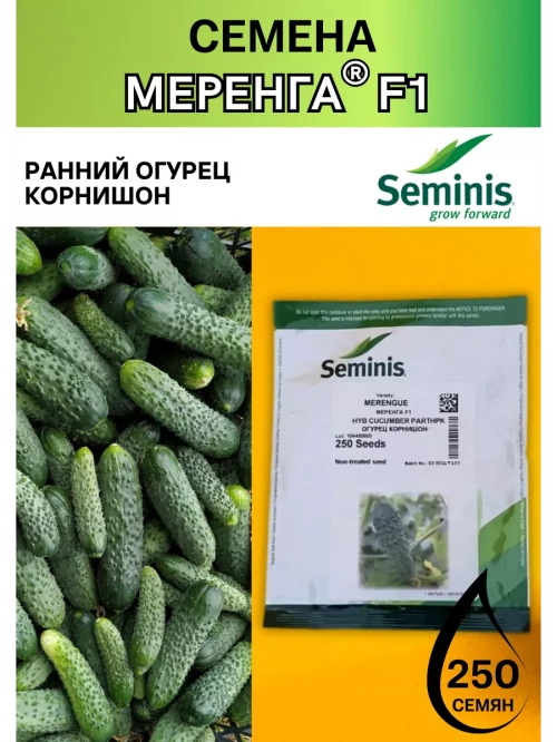 Меренга F1 семена огурца корнишона раннего