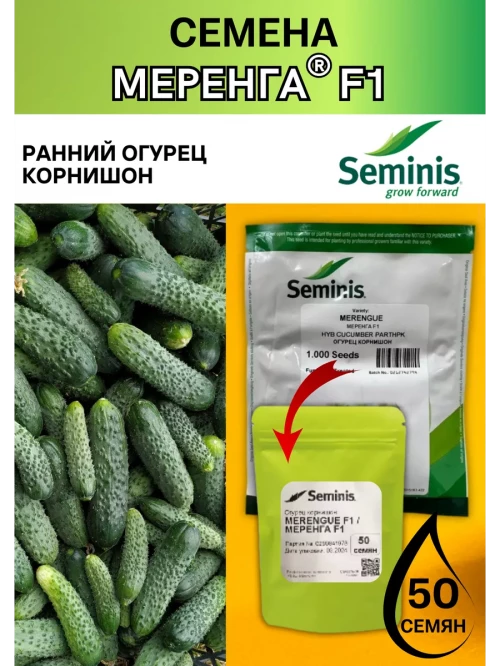 Меренга F1 семена огурца корнишона раннего