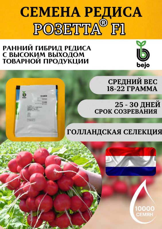 Розетта F1 семена редиса