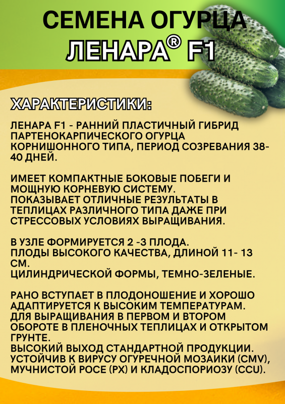 Ленара F1 семена огурца