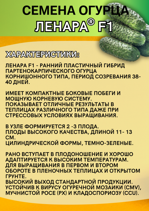Ленара F1 семена огурца