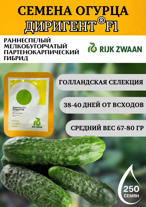 Диригент F1 семена огурца