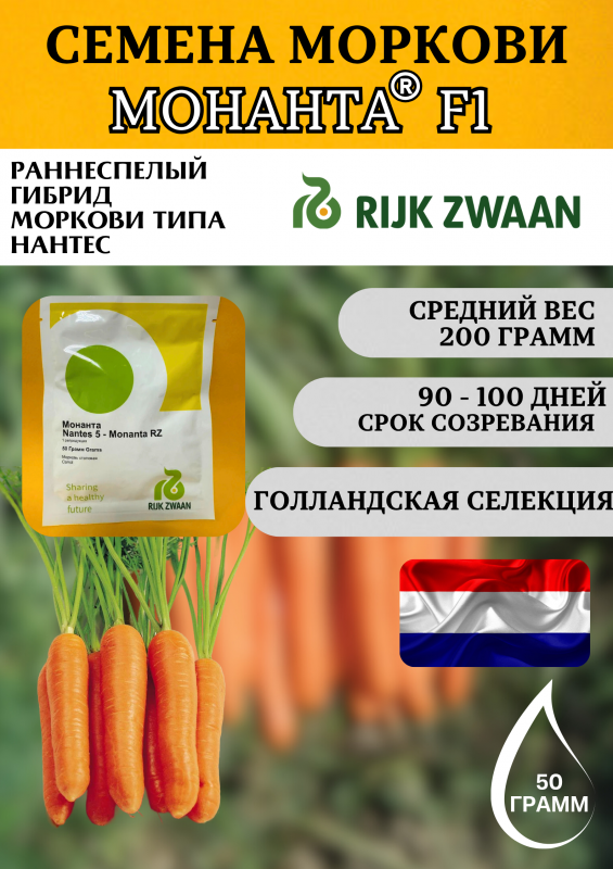 Монанта F1 семена моркови