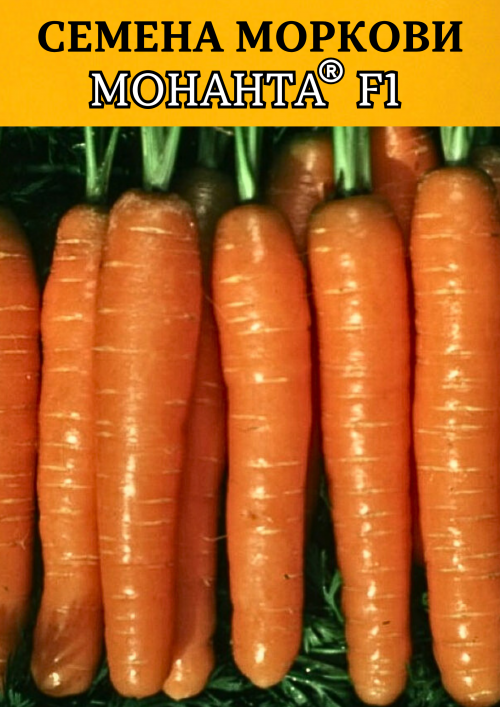 Монанта F1 семена моркови