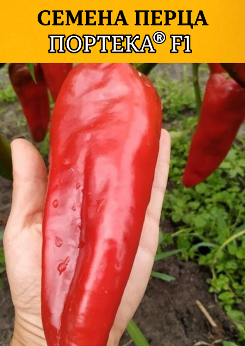 Портека F1 100 штук семена перца сладкого